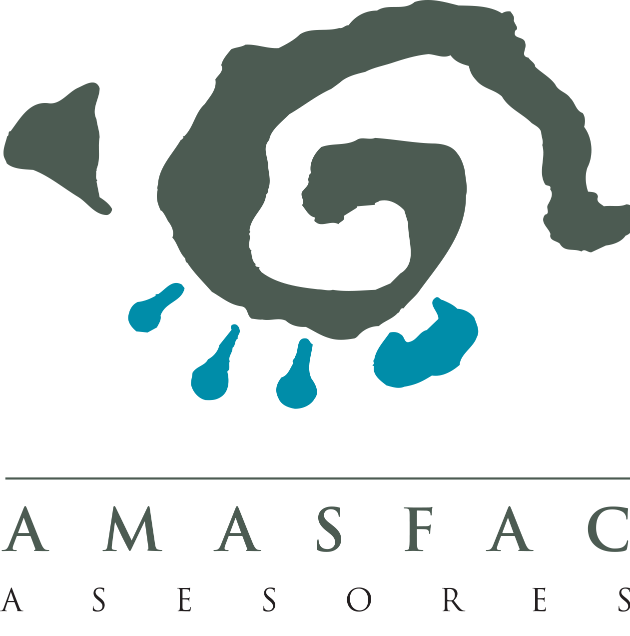 AMASFAC Asesores